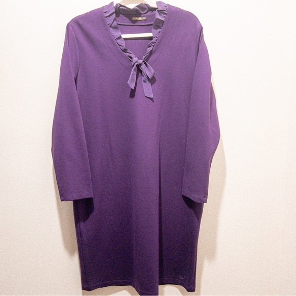 J. McLaughlin Durham Ruffle Neck Tie Dress - Picture 3 of 7